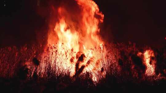 火灾大火山火现场