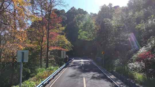 四明山 盘山公路 秋色 秋天 余姚