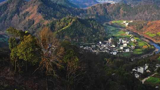 安徽黄山石潭油菜花