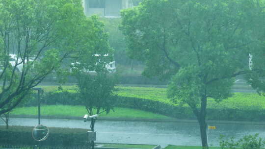 狂风暴雨中的城市街景 绿化植物