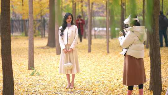 女子银杏林拍照场景