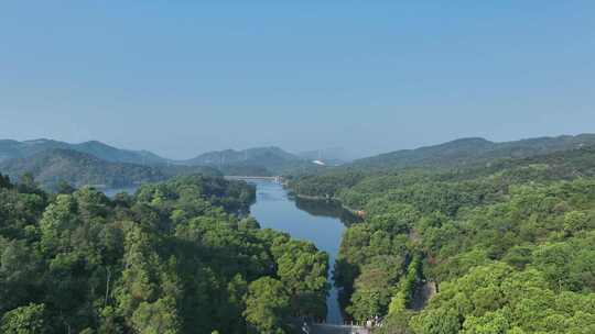 森林山水湖泊航拍青山绿水山川河流山峰风景