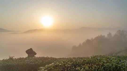 汉中茶山延时日出云海视频素材模板下载