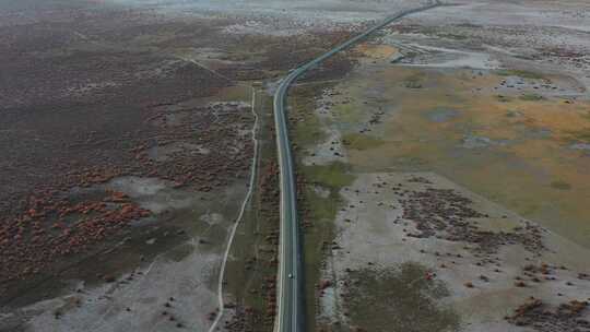 红柳，道路，航拍