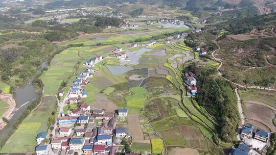 航拍美丽乡村田园农业种植农田稻田视频素材模板下载