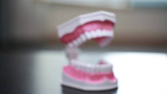 【镜头合集】牙齿模型演示刷牙方法视频素材模板下载