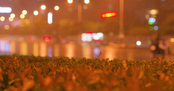 夜晚下雨雨景