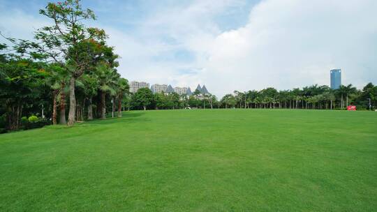 广西首府绿城南宁东盟商务区城市广场草坪