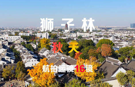 苏州狮子林秋天航拍运镜15镜组合