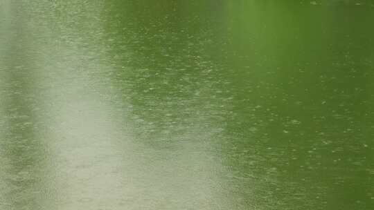 【合集】唯美春雨绵绵节气