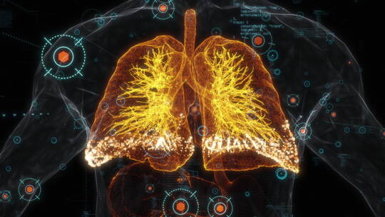 3D三维人体身体器官机能透视动画展示-肺部