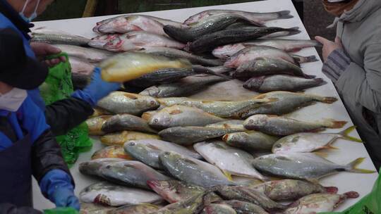 海鲜水产市场摆放整齐买卖海鱼摊位