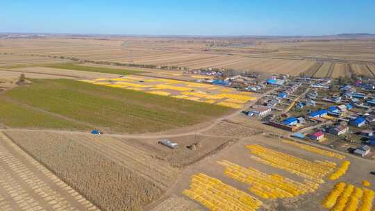 航拍玉米收成场院的大地村庄视频素材模板下载