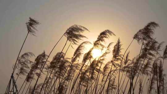 夕阳 晚霞 天空 治愈系 黄昏 唯美