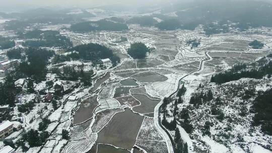 农业种植农田冬天雪景水田航拍