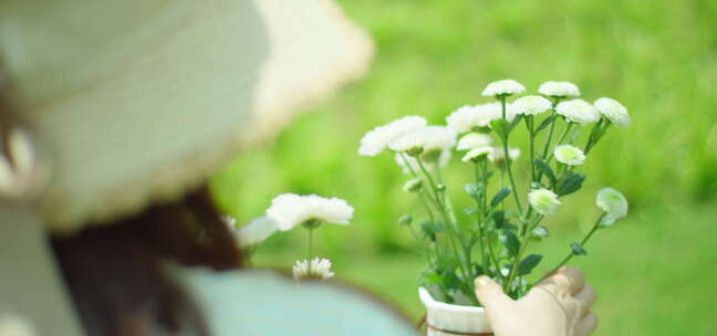 夏日 享受 阳光 雏菊 插花