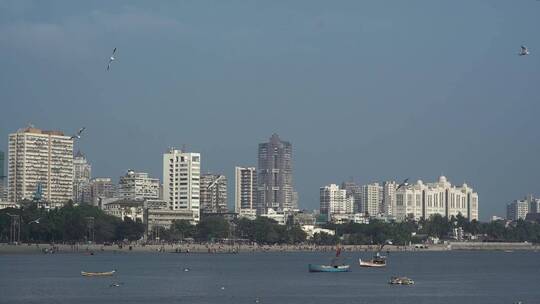 海湾城市景观