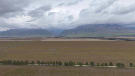 航拍青海门源县油菜种植基地