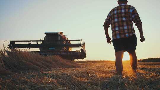 一个男性农民在夕阳下走在麦田里