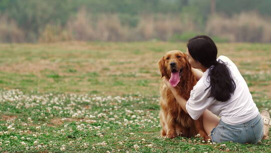 美女和宠物犬金毛狗在春天鲜花草地上玩耍