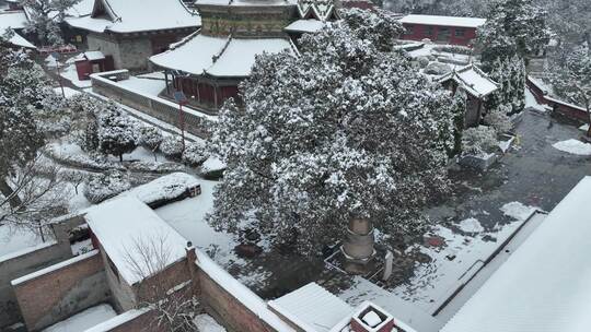 山西洪洞广胜寺雪景