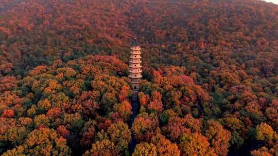 南京灵谷景区灵谷寺灵谷塔航拍