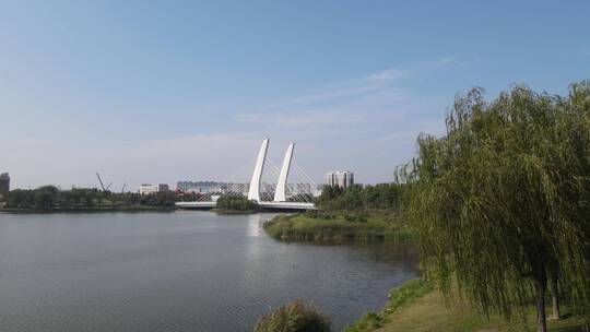 河南郑州龙子湖大桥航拍