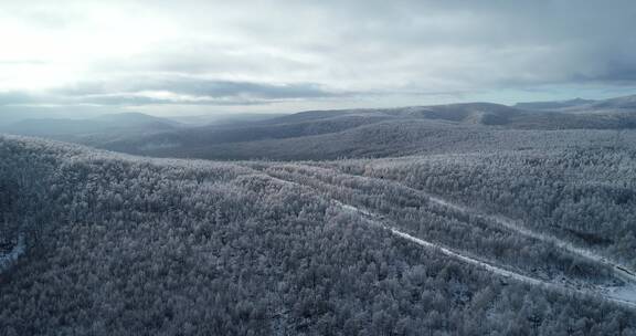 航拍大兴安岭林海雪原雾凇