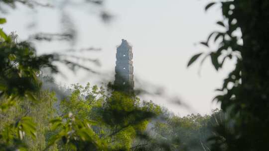 绿树掩映中的国清寺隋塔远景