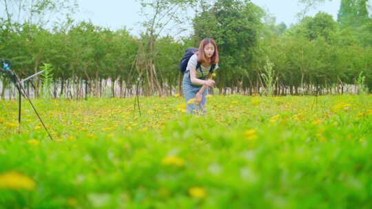 女孩漫步乡村田间欣赏风景闻油菜花野花香