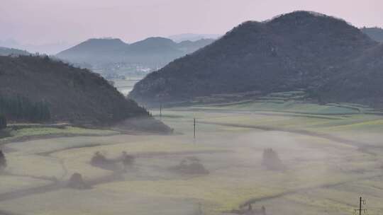 航拍油菜花海罗田云南春天蓝天白云风景景区