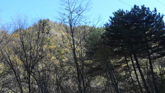 秦岭山脉秋季风景