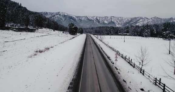 俄罗斯，冬天，雪，冰