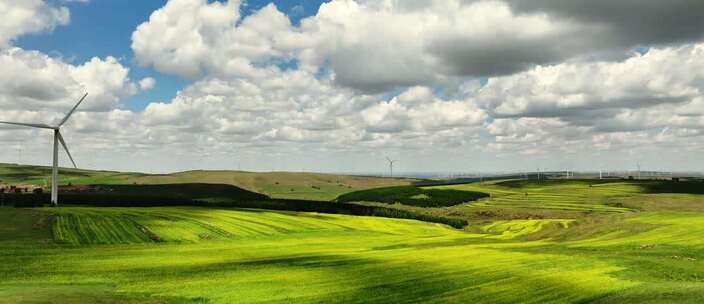 蓝天白云草原油菜花风力发电场大风车