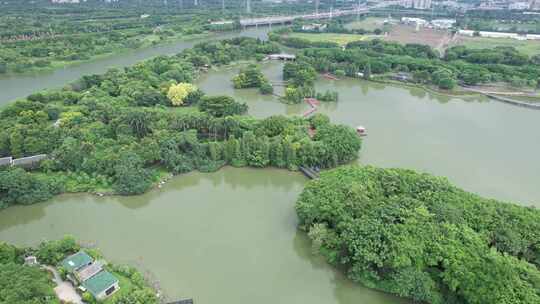 广州海珠湖湿地风光航拍