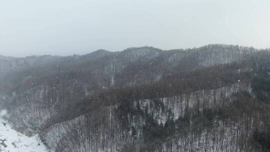 冬天冰雪覆盖的东北长白山