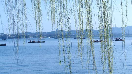 杭州西湖风景区白堤风景