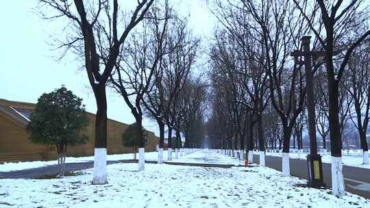 西安大明宫遗址公园大雪雪景视频素材模板下载