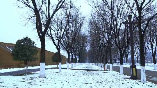 西安大明宫遗址公园大雪雪景