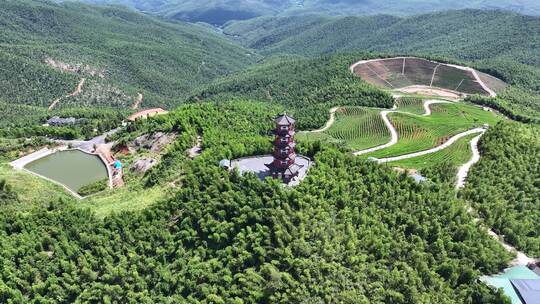 蓝天白云 航拍湖南衡阳蔡伦竹海 远山空镜