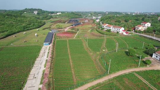 航拍衡阳茶山坳金甲岭乡村自然风光