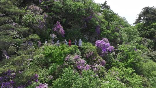 河南伏牛山山脉平顶山尧山层峦叠嶂的山峰