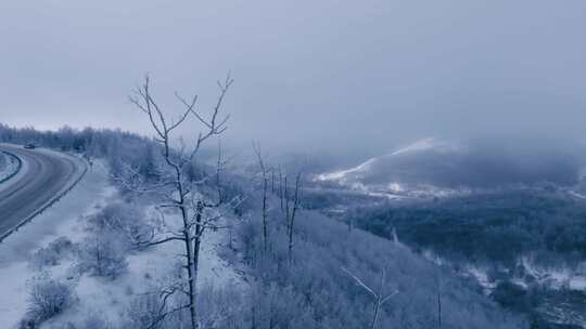 阿尔山白狼冬季雪山雾凇航拍