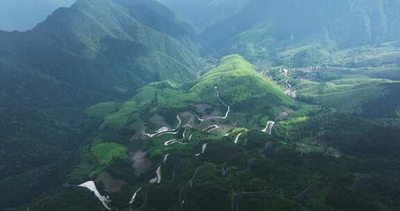 森林山路车流开车绿色出行新能源车航拍