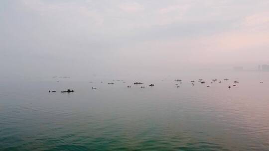 清晨的北海航拍渔船挖蛤蜊御mini