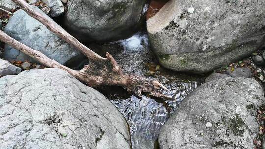 夏天森林里岩石小溪溪流瀑布流水