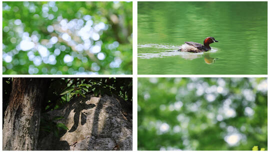 4K夏日小清新阳光光斑光影唯美空镜