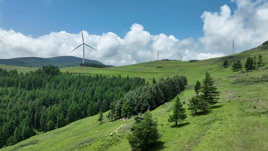航拍山西高山草甸新能源风电风车4K50帧视频素材模板下载
