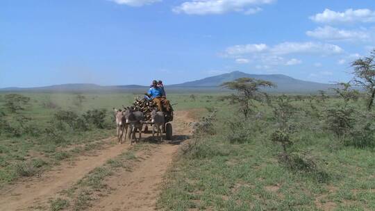 一辆载着骑手的马车在东非的一条土路上行驶