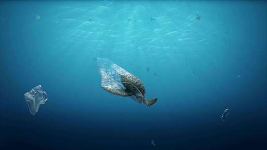 水污染海洋污染塑料袋缠住了小海龟生态破坏